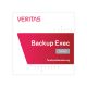 VERITAS Backup Exec Silver
