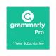 Phần mềm Grammarly Pro